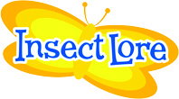 Insect Lore